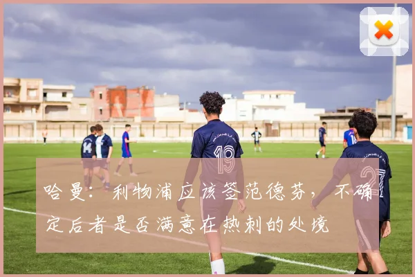 哈曼：利物浦应该签范德芬，不确定后者是否满意在热刺的处境
